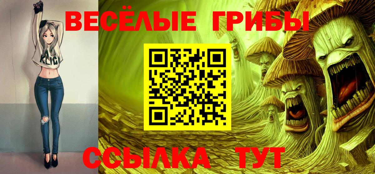 Псилоцибиновые грибы GOLDEN TEACHER  Вход с VPN  купить наркотики цена  Магнитогорск 